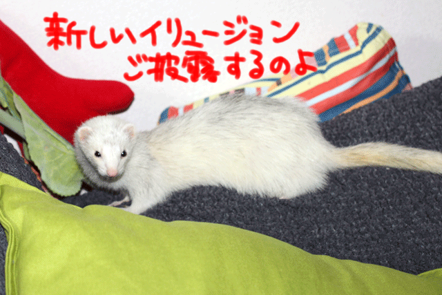 141011c.gif
