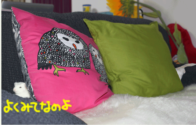 141011d.gif
