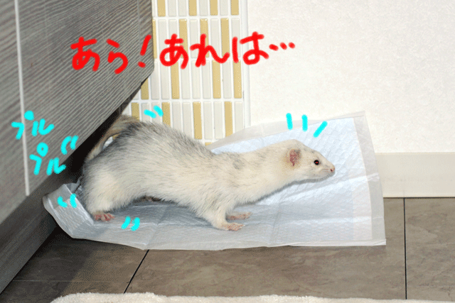 141012a.gif