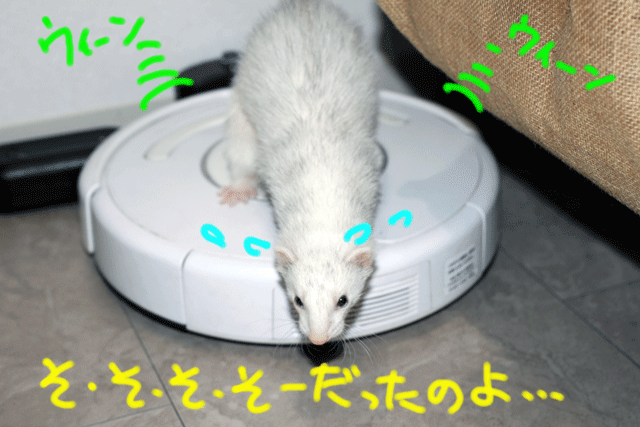141012b.gif
