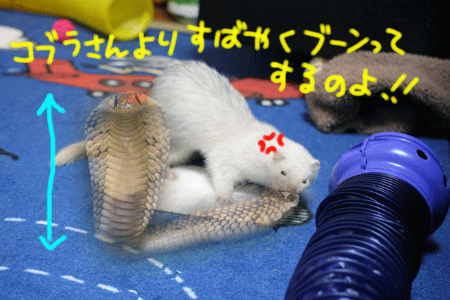 141012e.gif