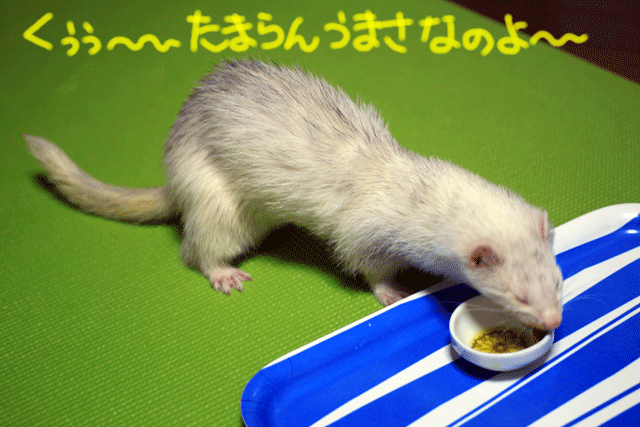 141013b.gif