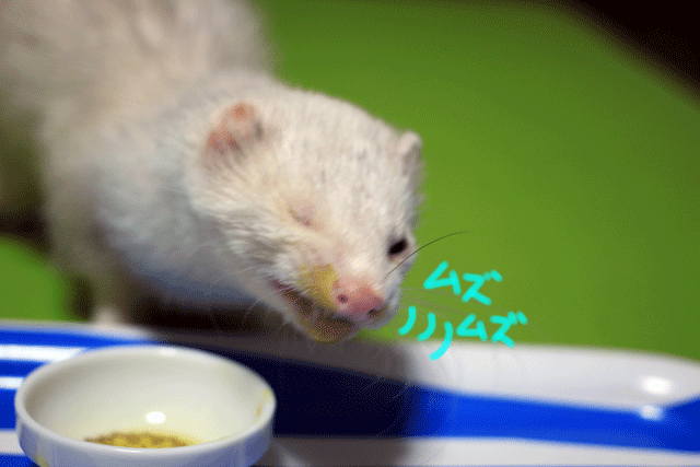 141013d.gif