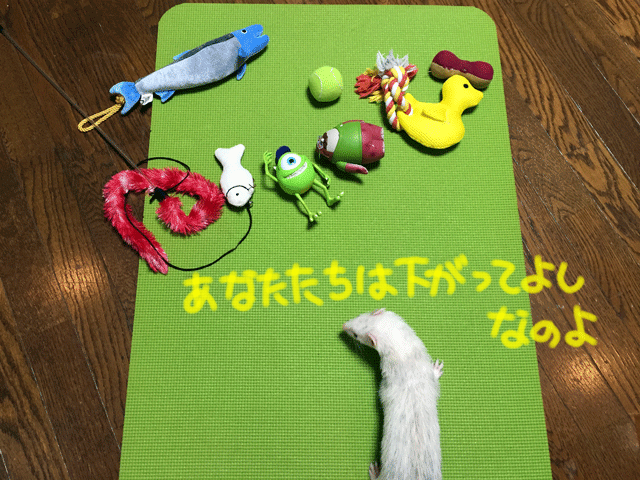 141014d.gif