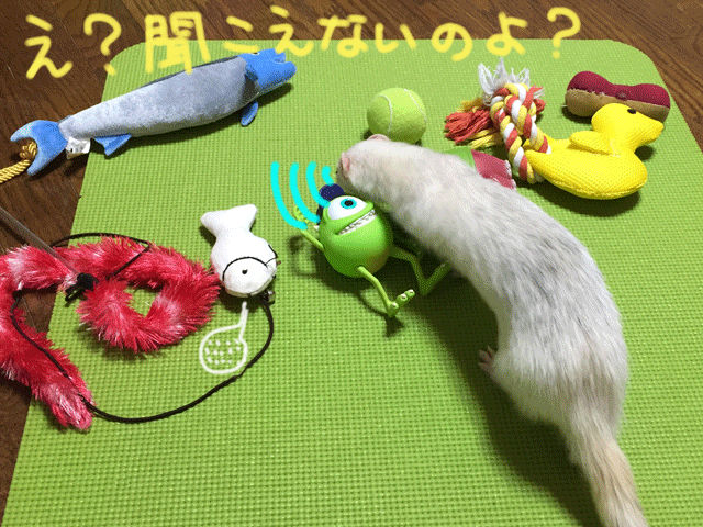 141016a.gif