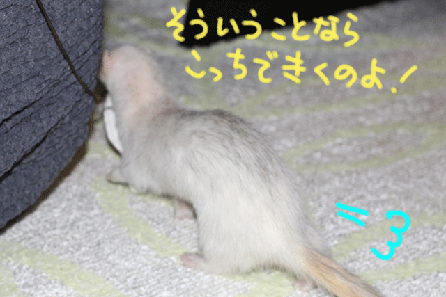 141016b.gif