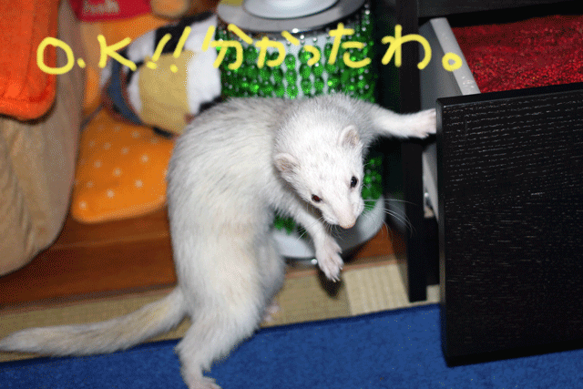 141017a.gif