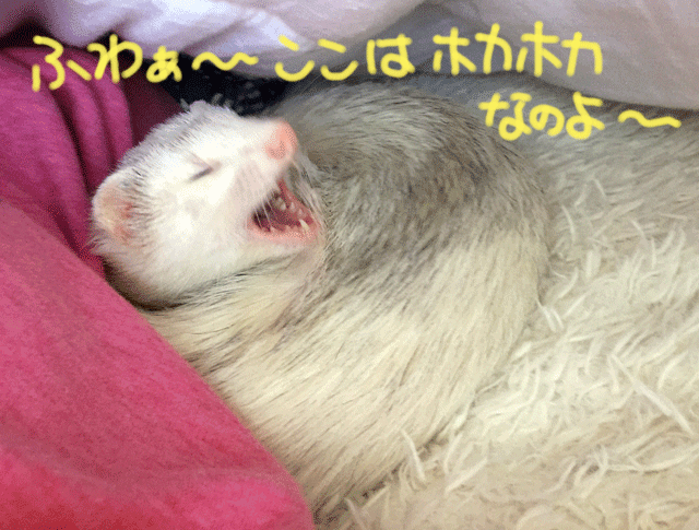 141018a.gif
