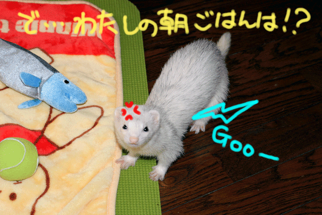141018e.gif