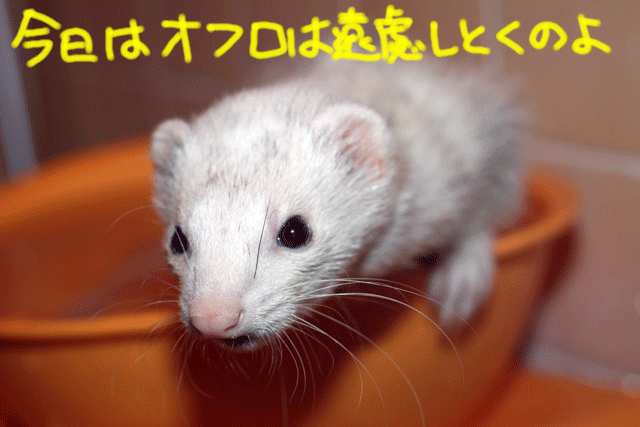 141019b.gif