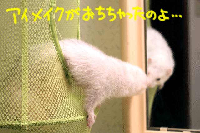 141019f.gif