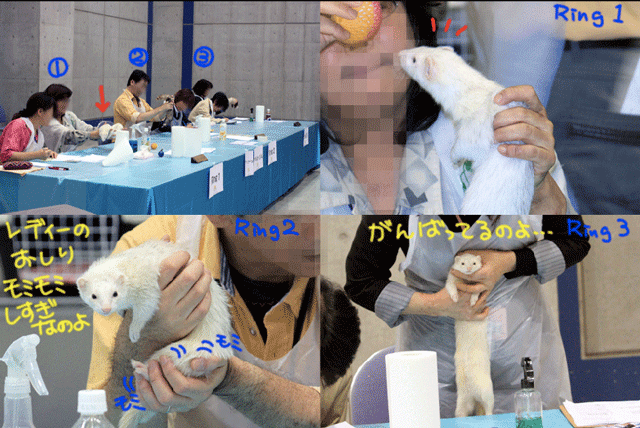 141020c.gif