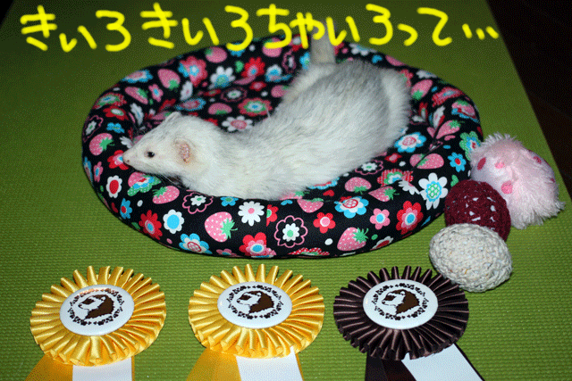 141020f.gif