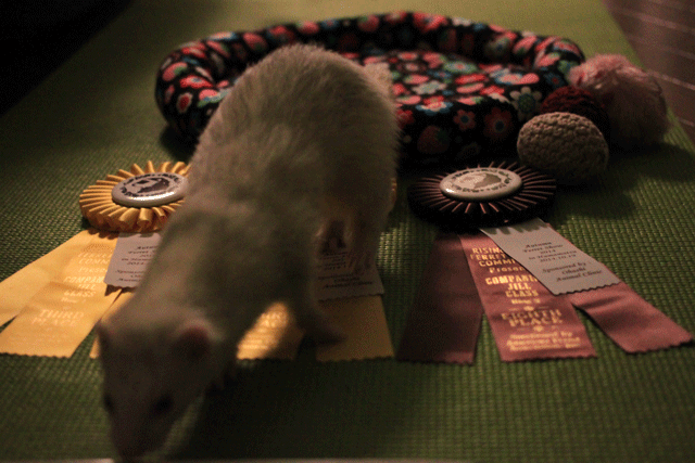 141020h.gif
