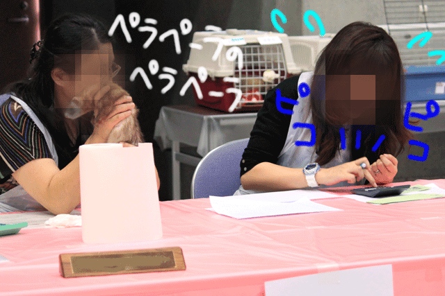 141020k.gif