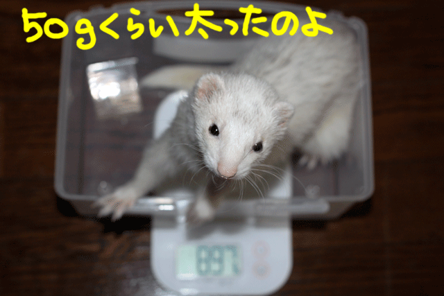 141022a.gif