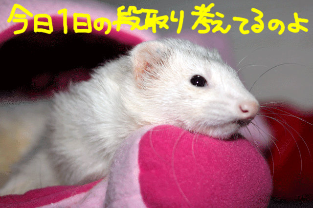 141023b.gif