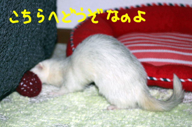 141023c.gif