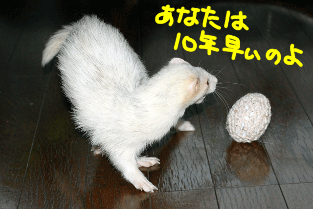 141023d.gif