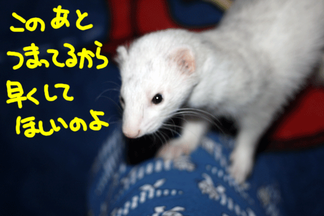 141023e.gif