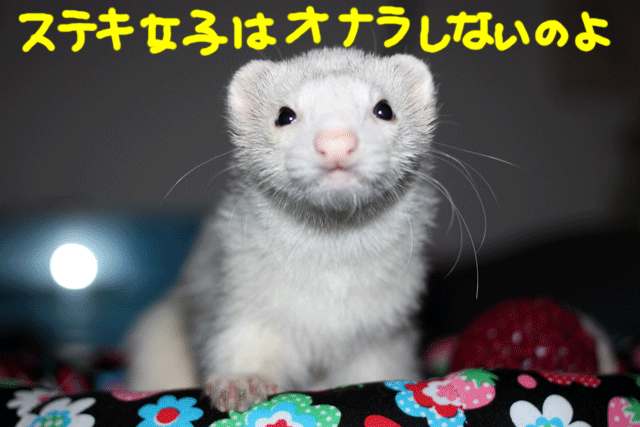 141024a.gif