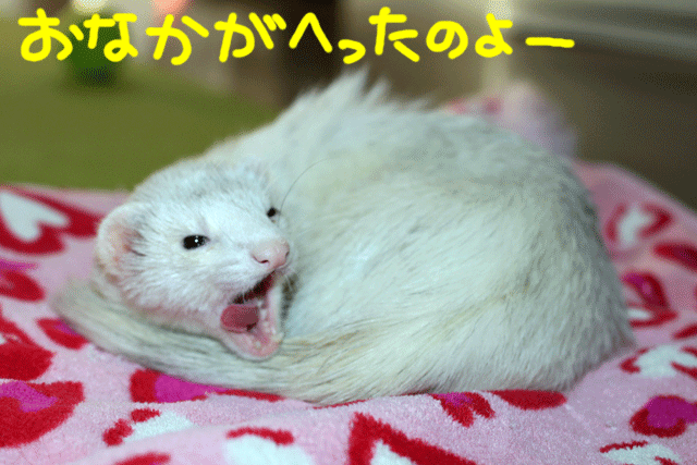 141025a.gif