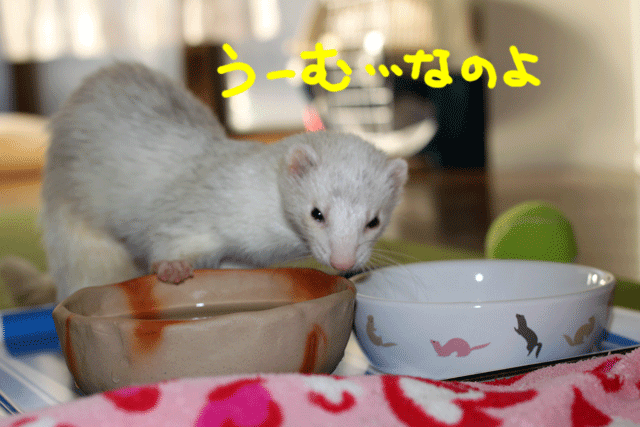 141025b.gif