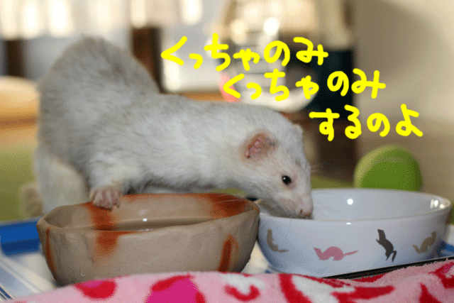 141025d.gif
