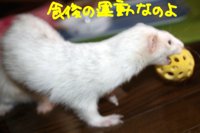 141025e.gif