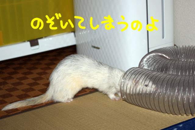 141026c.gif