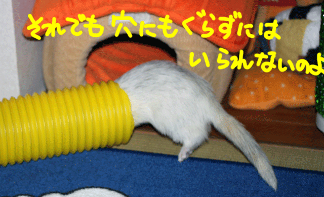 141026e.gif