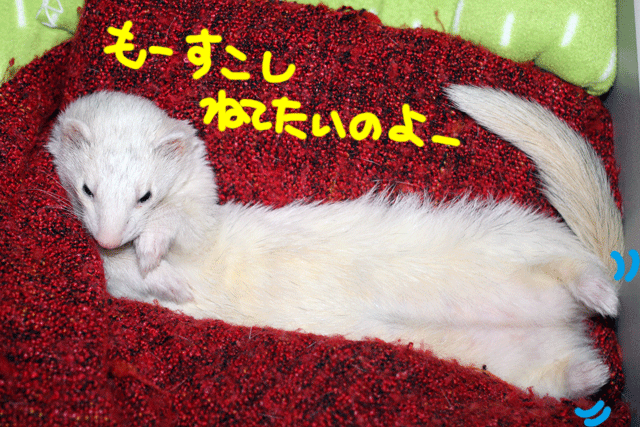 141028a.gif