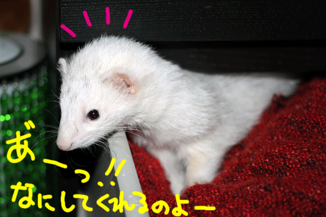 141028b.gif