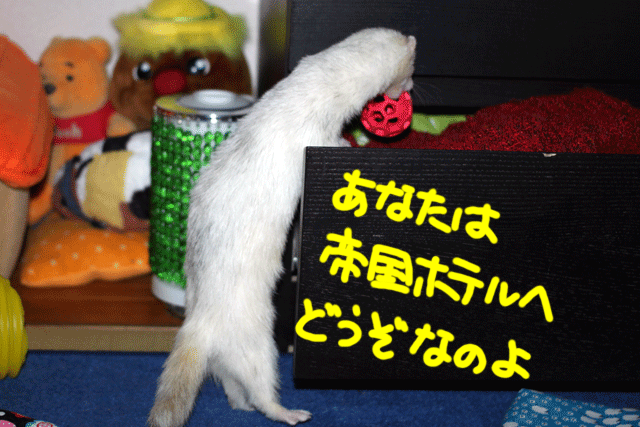141028e.gif