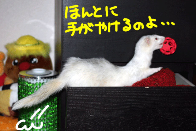 141028f.gif