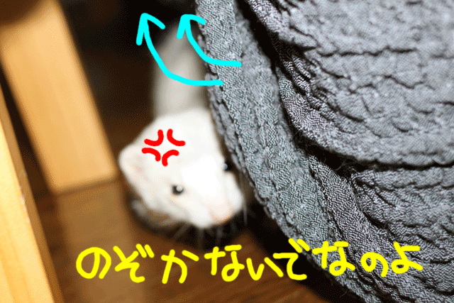 141029b.gif