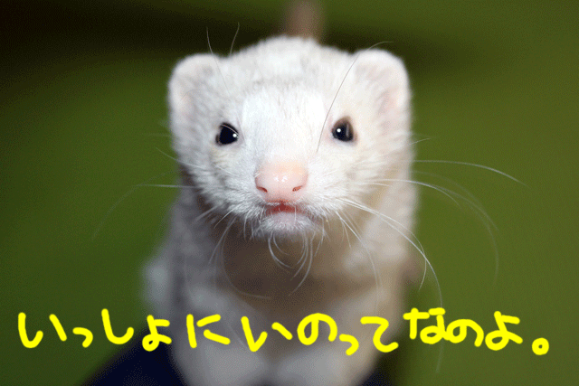 141029d.gif