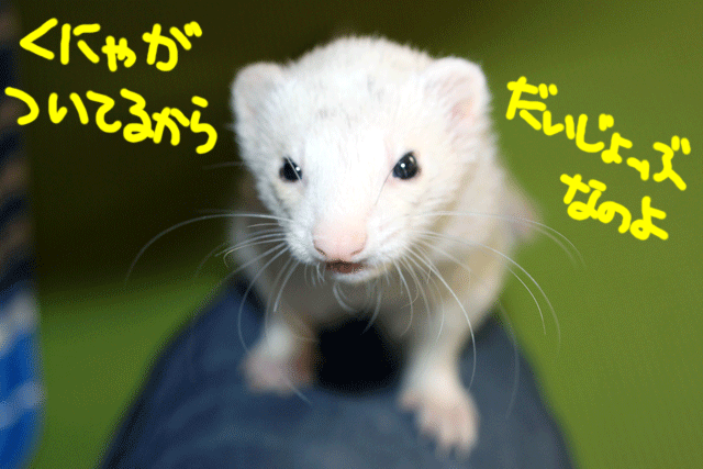 141030b.gif