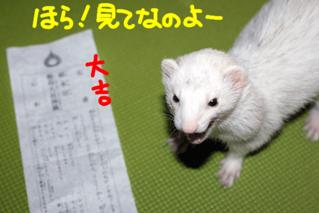 141030c.gif