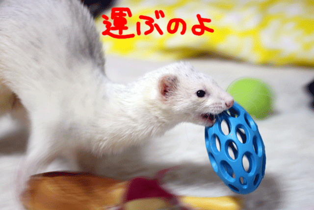 141030d.gif
