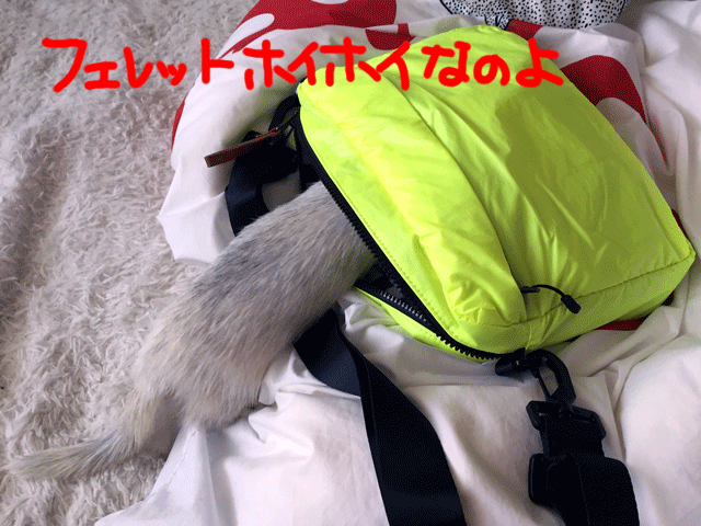141030e.gif