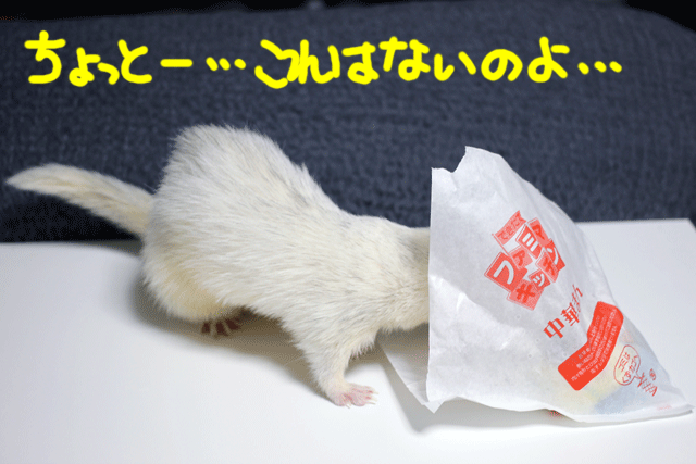 141031a.gif
