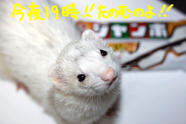141031e.gif