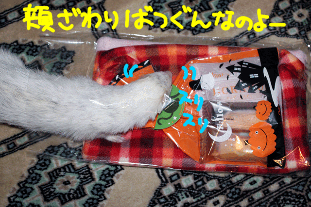 141103c.gif