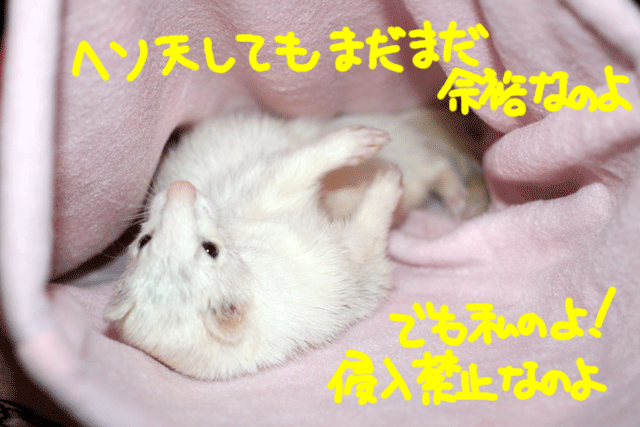 141103e.gif
