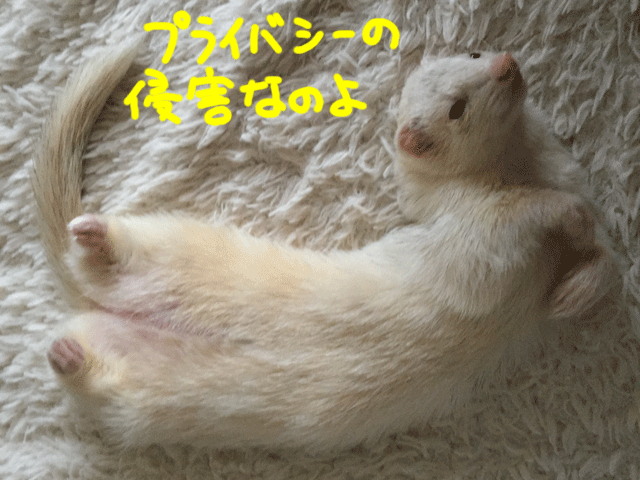 141104c.gif