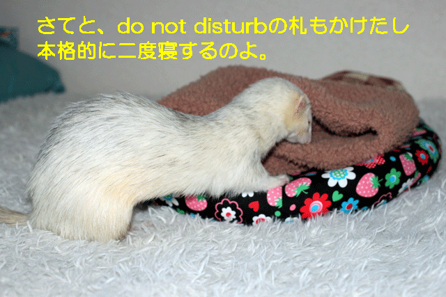 141105d.gif