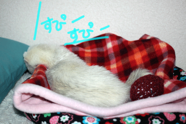 141106a.gif