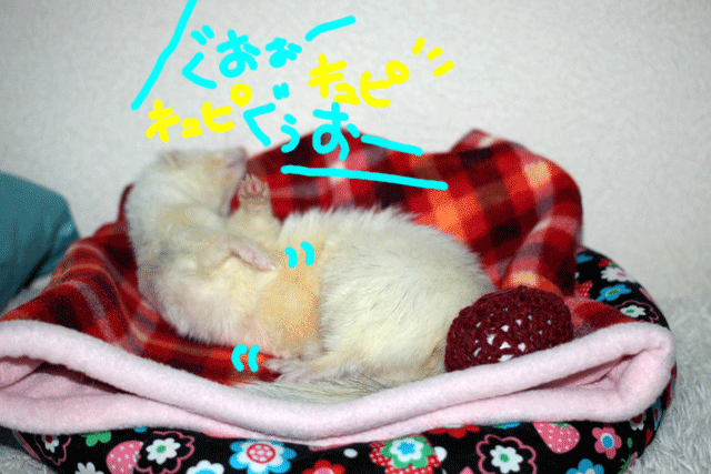 141106b.gif