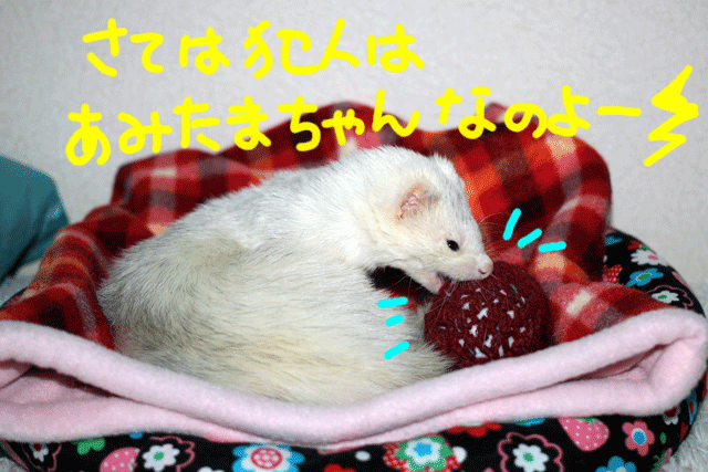 141106d.gif